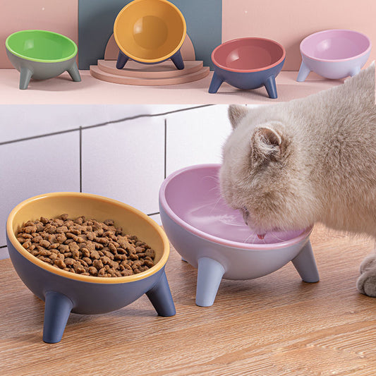 Tilted Pet Bowl with Stand
